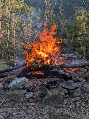 Log fire for BBQ